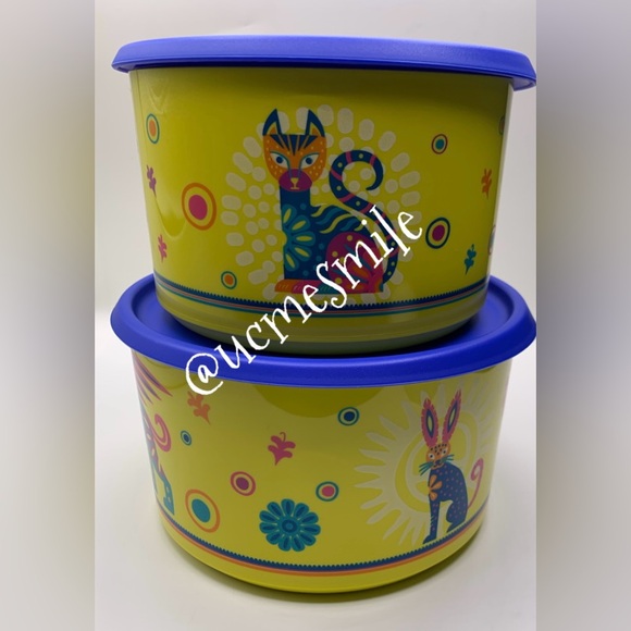 Tupperware Alebrije Fantasy Paint Designs One Touch Canister Set - Picture 2 of 8